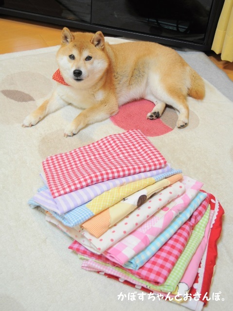 抱っこ袋_a0126590_23403073.jpg