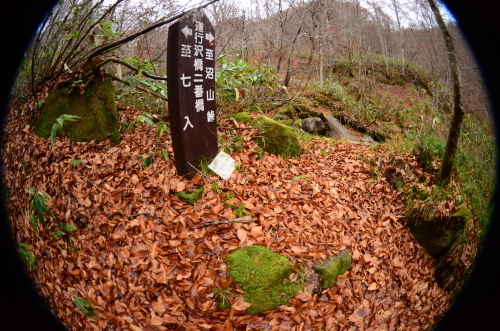 c0341290_21020087.jpg