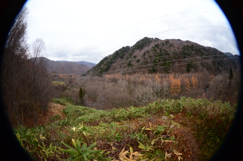 c0341290_21040490.jpg