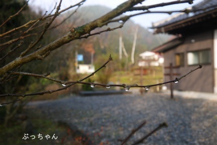 f0353990_10354994.jpg