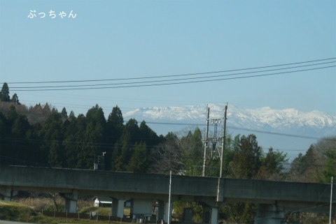 f0353990_10365697.jpg