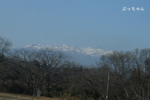 f0353990_10365811.jpg