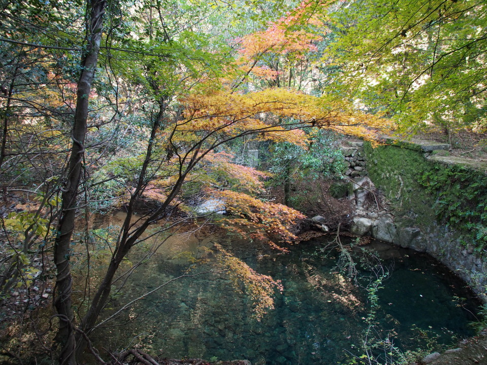 近場の紅葉も見頃＠異人館→背山→布引の滝→再度公園→再度山→大師道/神戸市 2014/11/22（土）快晴 一部12名_c0134193_17591693.jpg