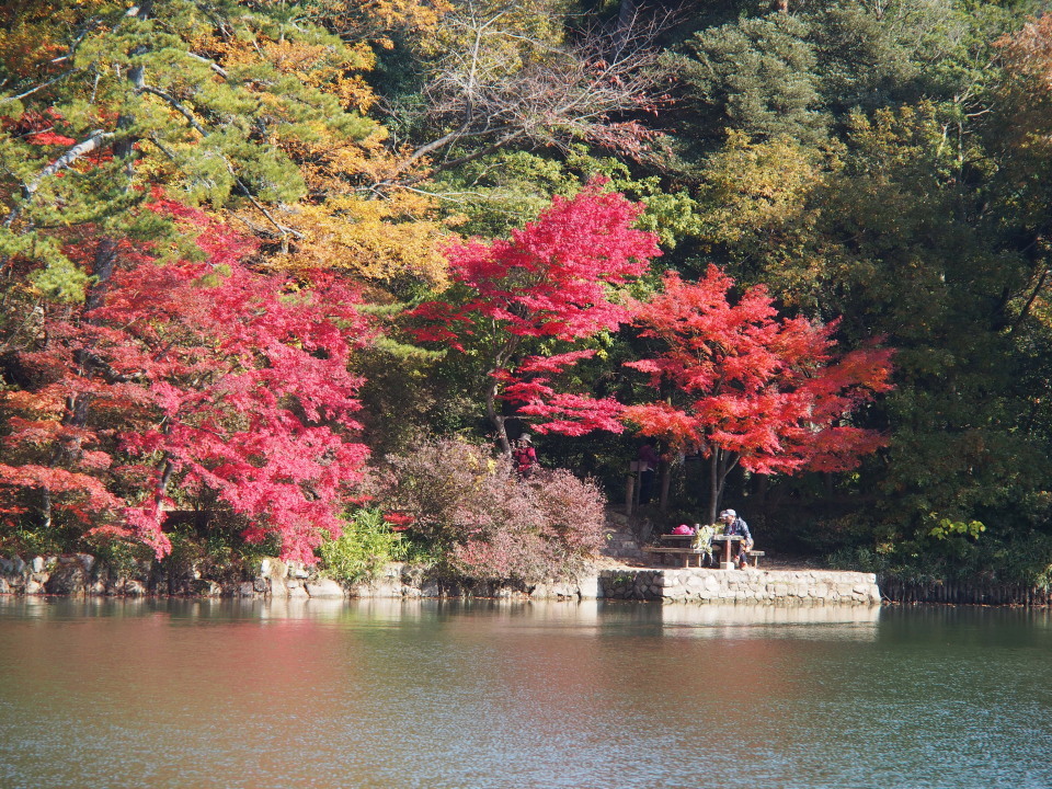 近場の紅葉も見頃＠異人館→背山→布引の滝→再度公園→再度山→大師道/神戸市 2014/11/22（土）快晴 一部12名_c0134193_18294241.jpg