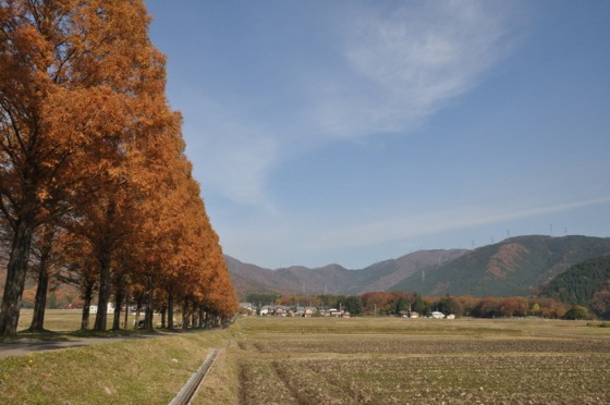 d0234293_7144785.jpg
