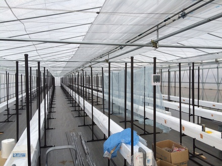 新たな仲間 福島でトマトローゼ水耕栽培システムを導入 Tomatorose トマトローゼ