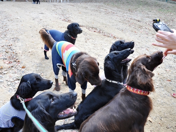 フラット親戚会 ＠大阪_f0176499_15415223.jpg