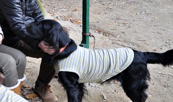 フラット親戚会 ＠大阪_f0176499_15495921.jpg