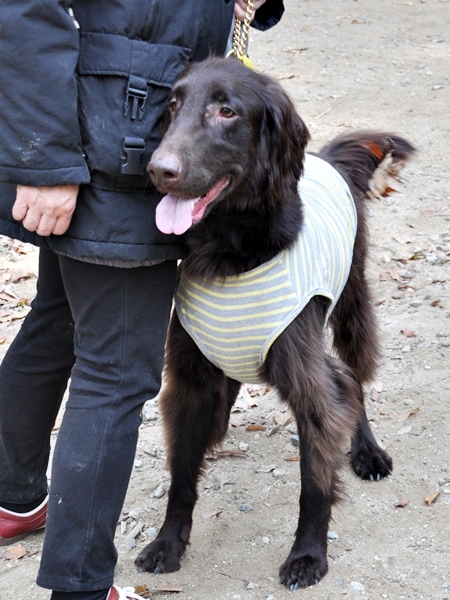 フラット親戚会 ＠大阪_f0176499_15501534.jpg