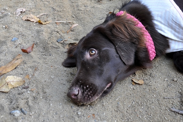 フラット親戚会 ＠大阪_f0176499_15521393.jpg