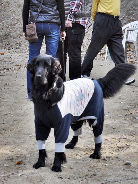 フラット親戚会 ＠大阪_f0176499_15571591.jpg