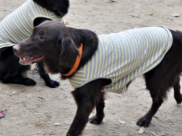 フラット親戚会 ＠大阪_f0176499_15575545.jpg