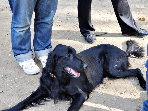 フラット親戚会 ＠大阪_f0176499_15582677.jpg