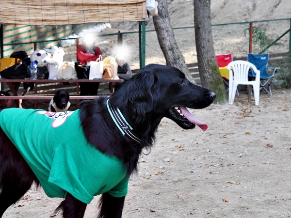 フラット親戚会 ＠大阪_f0176499_15584116.jpg