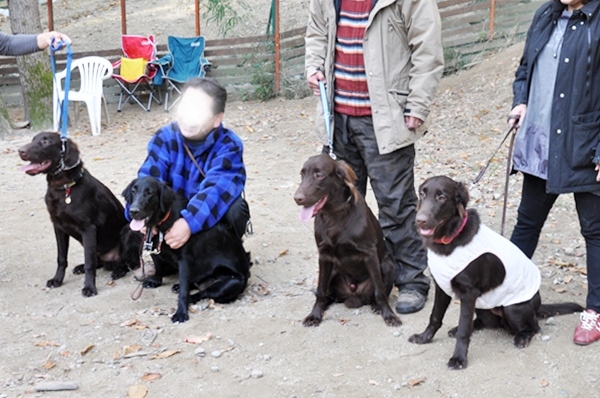 フラット親戚会 ＠大阪_f0176499_15594045.jpg