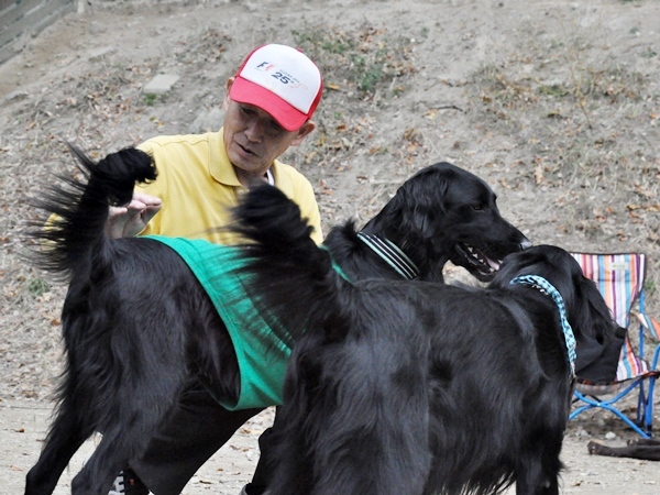 フラット親戚会 ＠大阪_f0176499_16002282.jpg