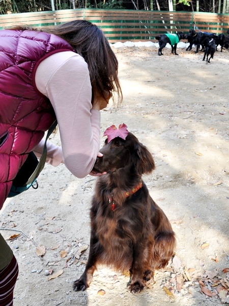 フラット親戚会 ＠大阪_f0176499_16012274.jpg