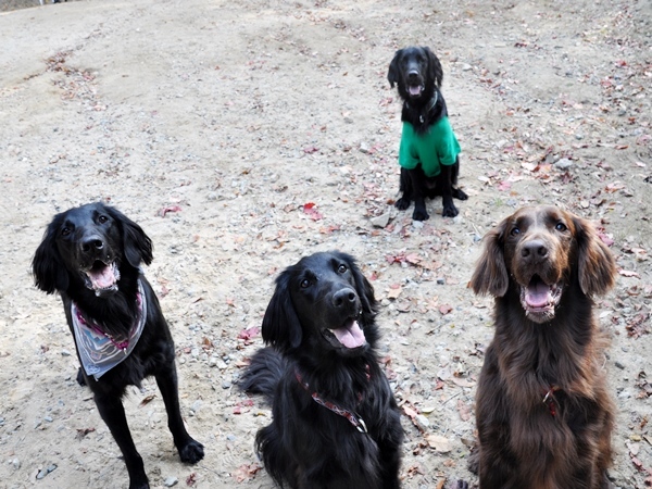 フラット親戚会 ＠大阪_f0176499_16024446.jpg