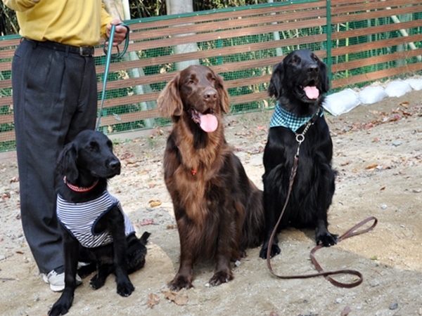 フラット親戚会 ＠大阪_f0176499_16032803.jpg