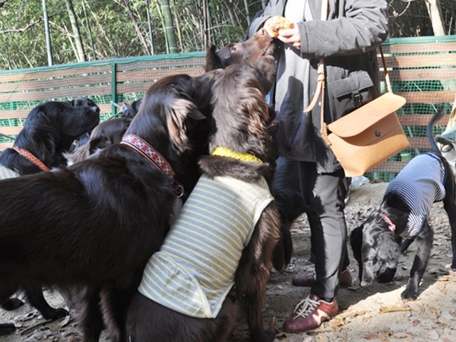 フラット親戚会 ＠大阪_f0176499_16044412.jpg