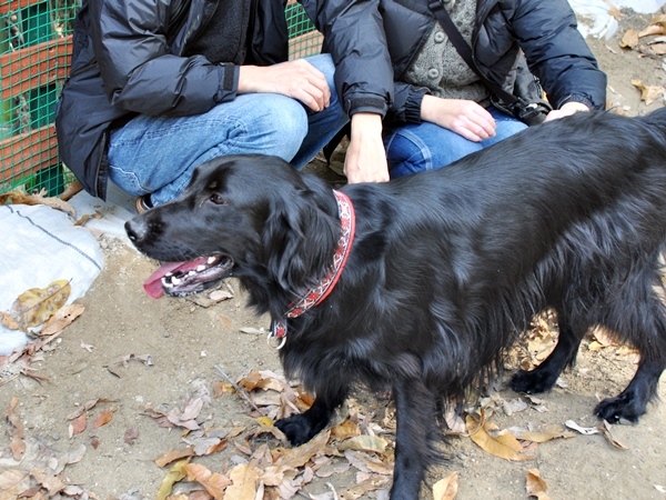 フラット親戚会 ＠大阪_f0176499_16082815.jpg