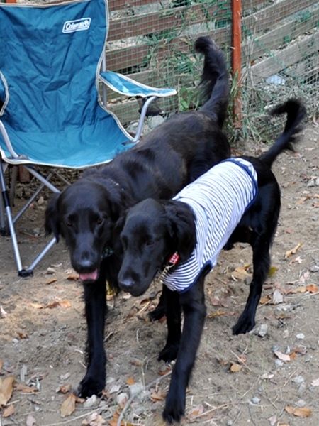 フラット親戚会 ＠大阪_f0176499_17024557.jpg