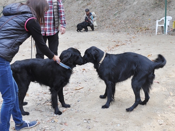 フラット親戚会 ＠大阪_f0176499_17041064.jpg