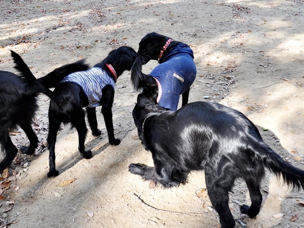 フラット親戚会 ＠大阪_f0176499_17070062.jpg