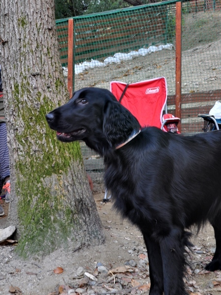 フラット親戚会 ＠大阪_f0176499_17080519.jpg