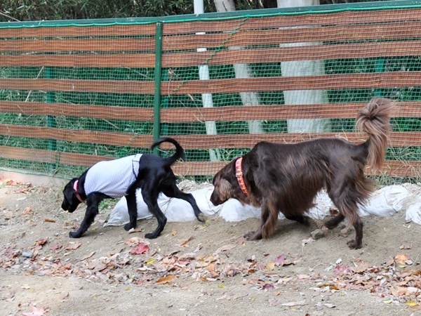 フラット親戚会 ＠大阪_f0176499_18034424.jpg