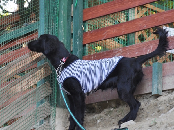 フラット親戚会 ＠大阪_f0176499_18040957.jpg