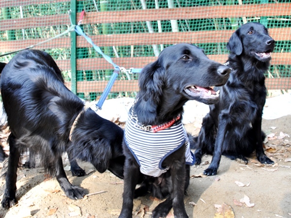 フラット親戚会 ＠大阪_f0176499_18044386.jpg