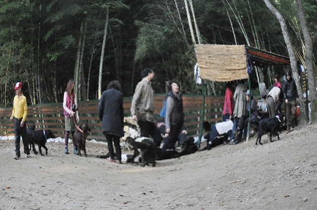 フラット親戚会 ＠大阪_f0176499_18060582.jpg