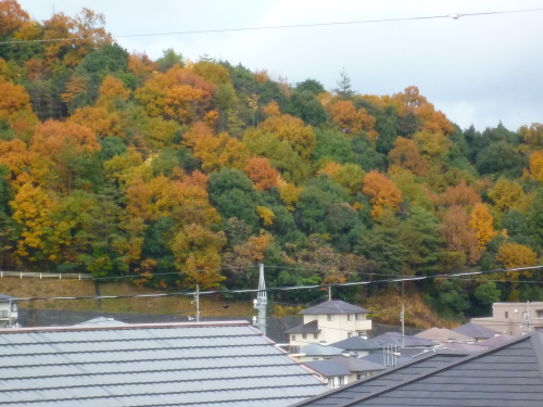a0231900_16185252.jpg