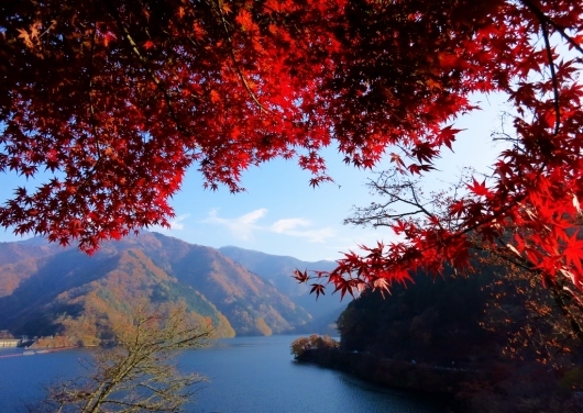 秩父の紅葉・檜原村から御岳峡谷_b0083801_02325359.jpg