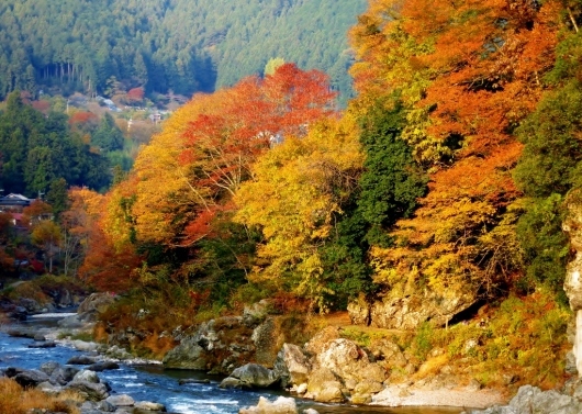 秩父の紅葉・檜原村から御岳峡谷_b0083801_02401243.jpg