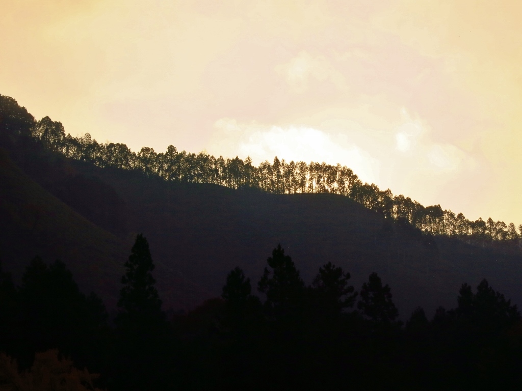秩父の紅葉・檜原村から御岳峡谷_b0083801_02444039.jpg