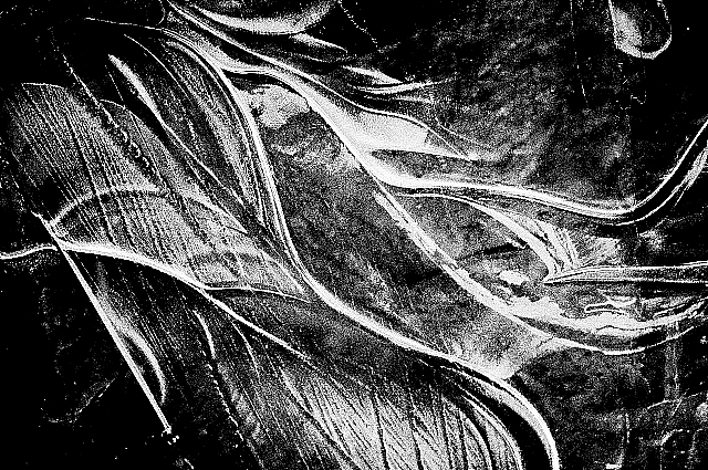 a0237302_19441042.jpg