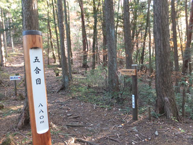 a0271502_16281357.jpg