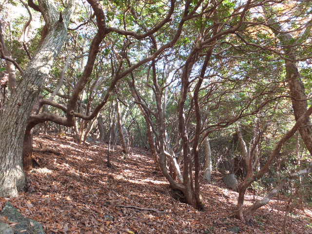 a0271502_16364590.jpg