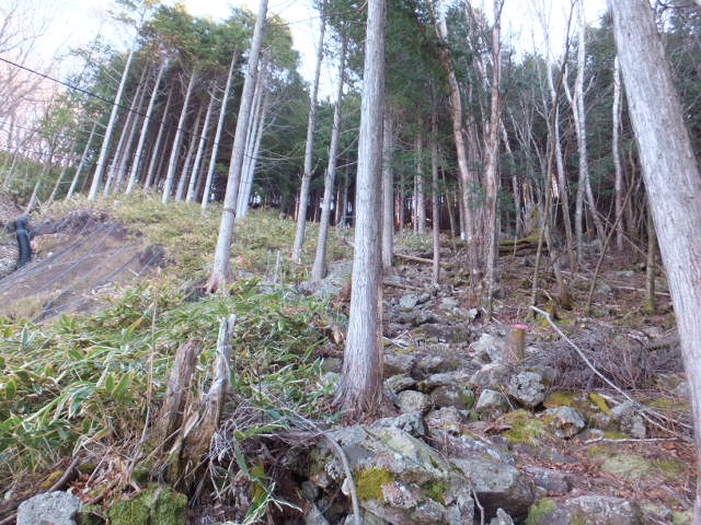 a0271502_16455525.jpg