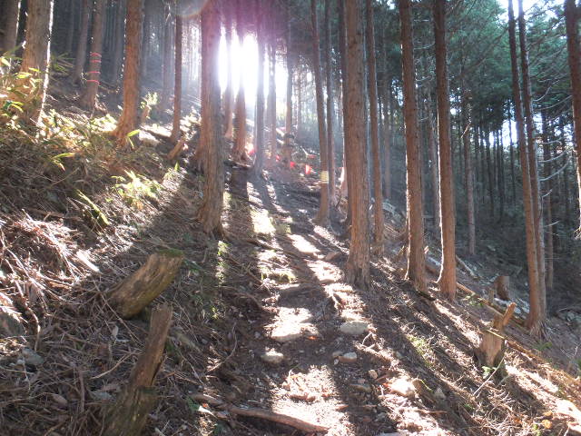 a0271502_16574941.jpg