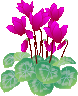 a0276402_21161415.gif