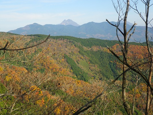 f0187402_184531.jpg