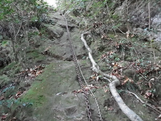 f0187402_184613.jpg