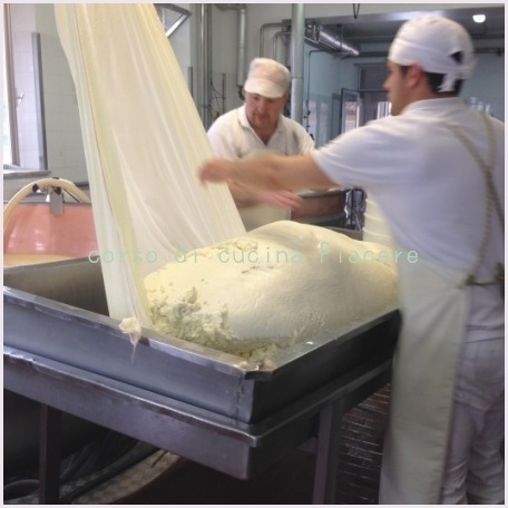 イタリア食旅行記⑬ 町のチーズ屋さん訪問_b0107003_11590445.jpg