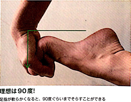 a0064004_17445595.png