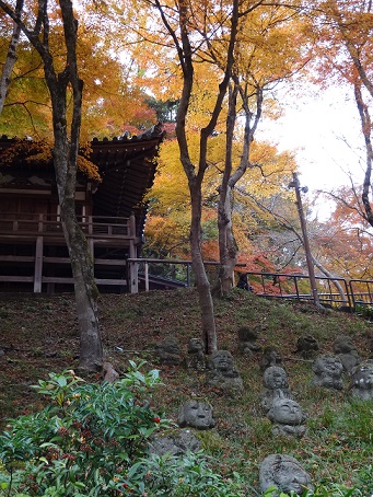 紅葉。。_c0178104_1733638.jpg