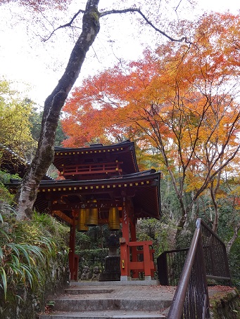 紅葉。。_c0178104_1735478.jpg