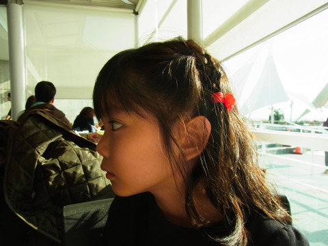 e0147206_6453399.jpg